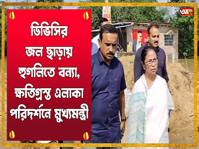 ডিভিসির জল ছাড়ায় হুগলিতে বন্যা, ক্ষতিগ্রস্ত এলাকা পরিদর্শনে মুখ্যমন্ত্রী